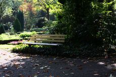 Herbst-Friedhof 021.jpg